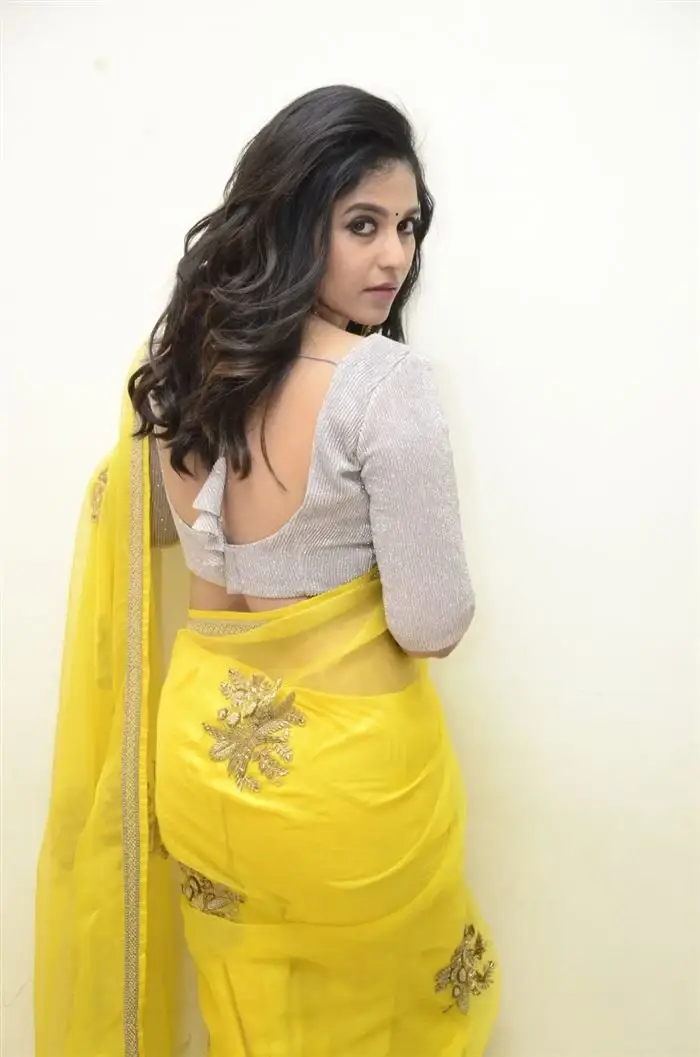 SOUTH INDIAN ACTRESS ANJALI STILLS IN TRADITIONAL LEMON YELLOW SAREE 8